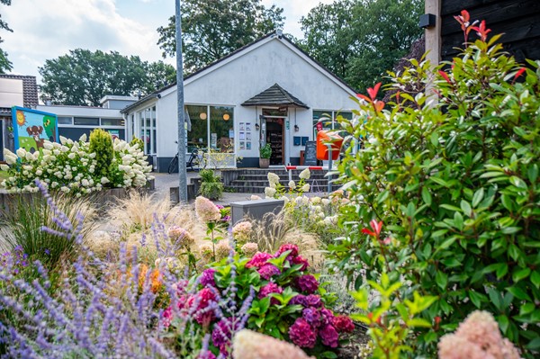 Medium property photo - Het Zwiggelterveld 149, 9433 VD Zwiggelte